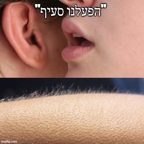 93kcr4.jpg