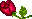 rose.gif